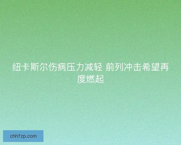 纽卡斯尔伤病压力减轻 前列冲击希望再度燃起