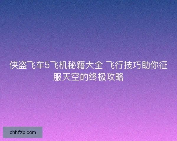 侠盗飞车5飞机秘籍大全 飞行技巧助你征服天空的终极攻略